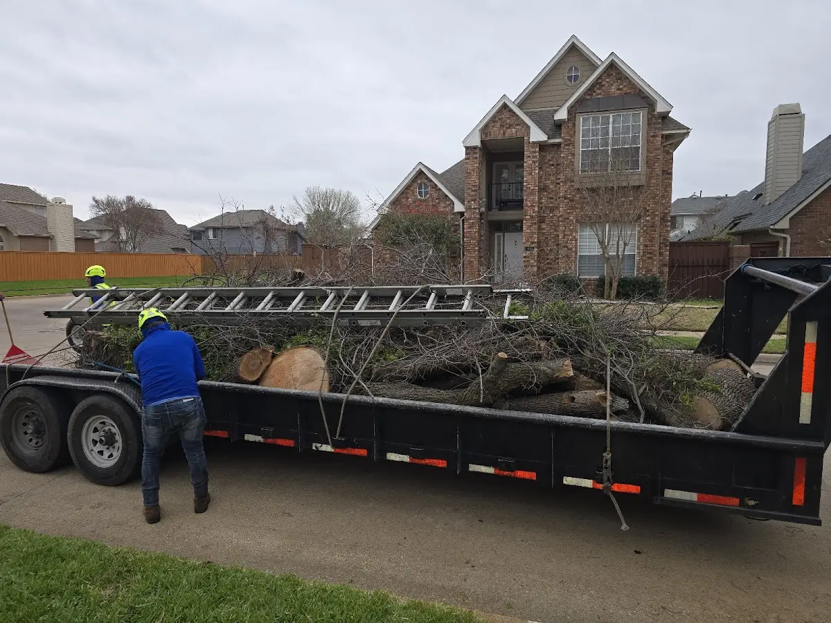 Expert Tree Removal with proper safety equipment in New Hartford